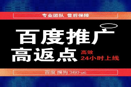 搜索引擎竞价推广实战：行业领先企业的成功秘诀